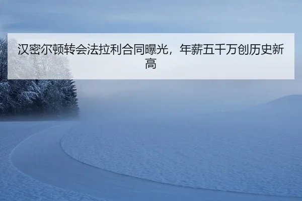 han-mi-er-dun-zhuan-hui-fa-la-li-he-tong-bao-guang-nian-xin-wu-qian-wan-chuang-li-shi-xin-gao-2-306.jpg