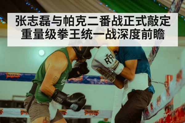 张志磊与帕克二番战正式敲定 重量级拳王统一战深度前瞻